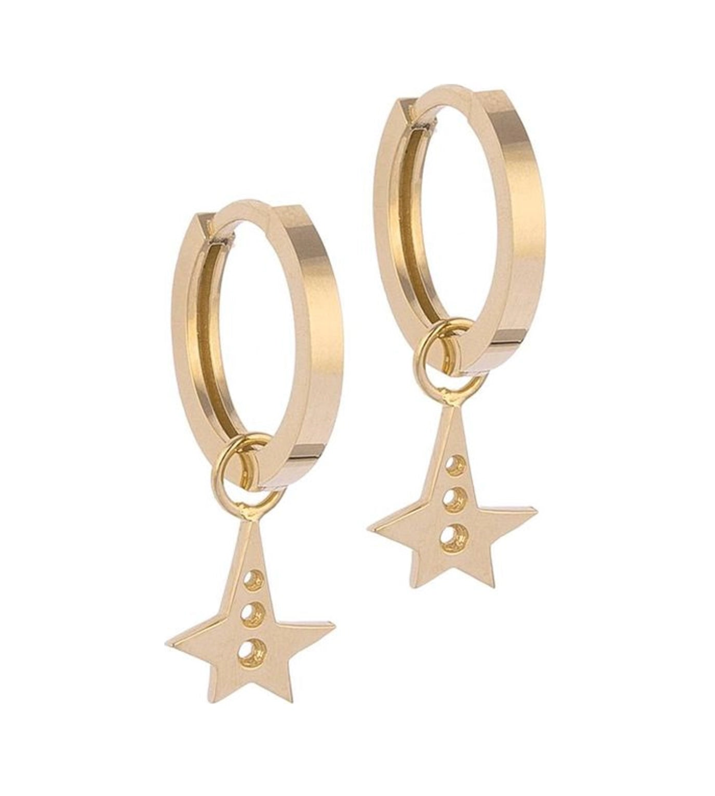 Elegant Styles with Gold Earring Charms